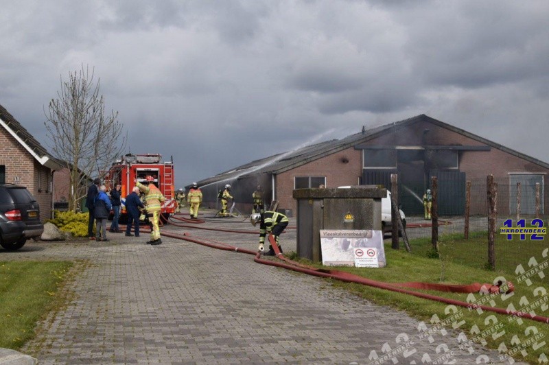 photo_2016-04-25_11-54-18